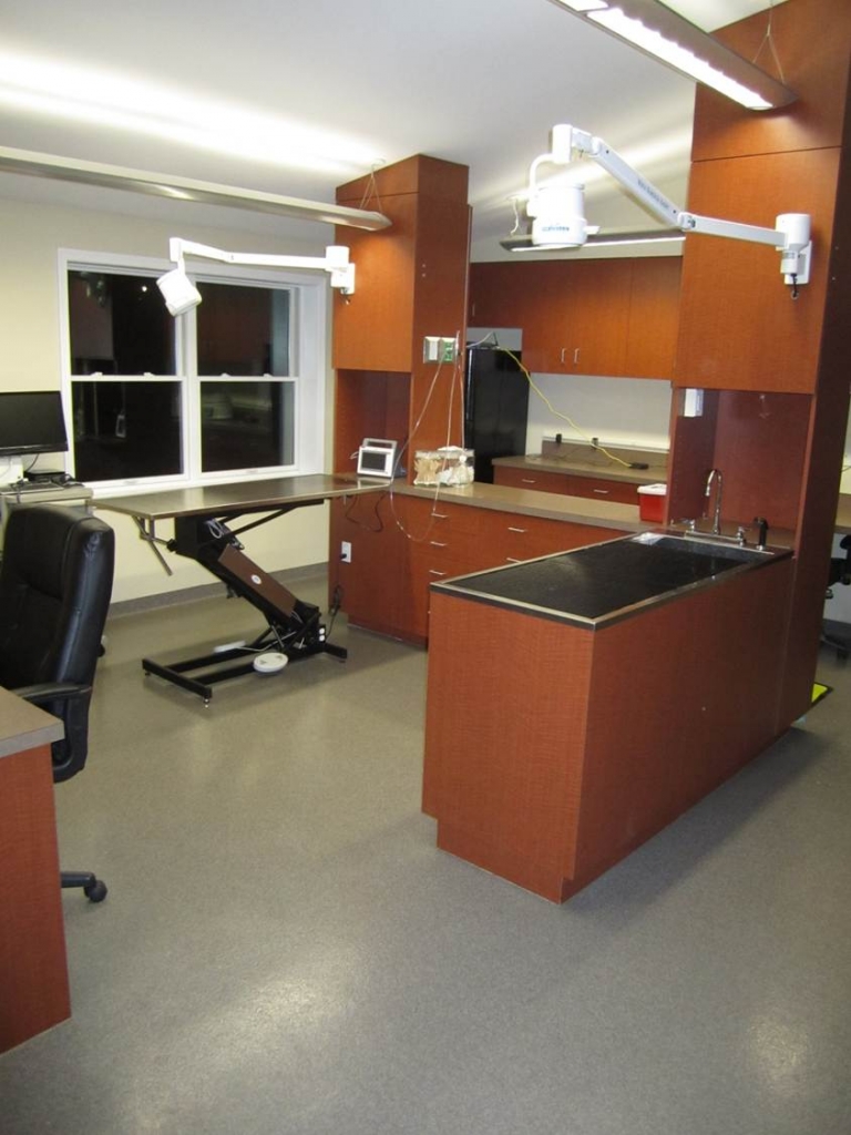 Treatment and Procedure Room